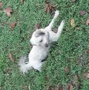 Meet your Posher, Jean brenda